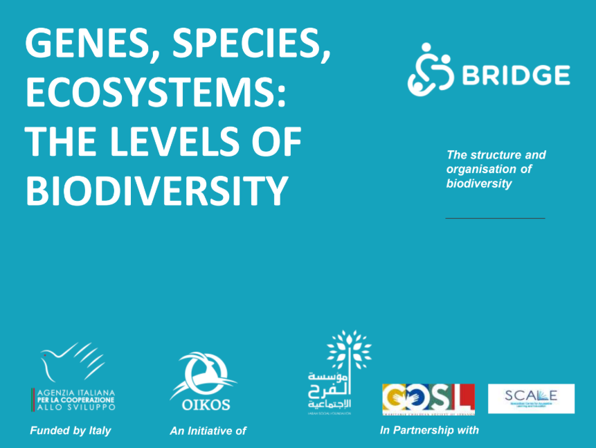 Genes, species, ecosystems levels of biodiversity