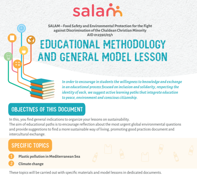 Educational Methodology And General Model Lesson