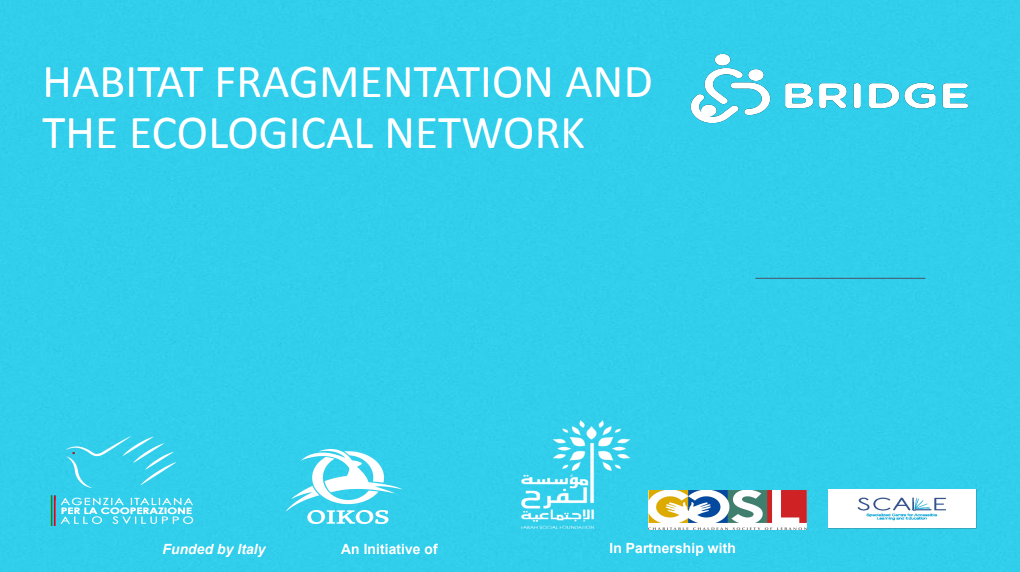 Habitat Fragmentation and Ecological Networks: Protecting Connected Ecosystems