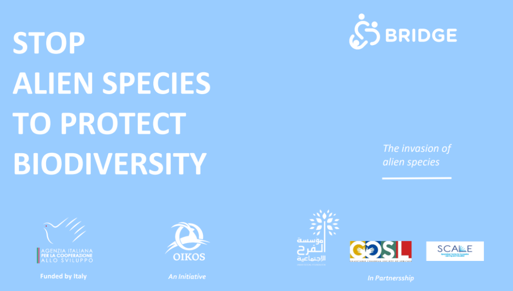 Invasive Alien Species: Protecting Biodiversity from Biological Invasions